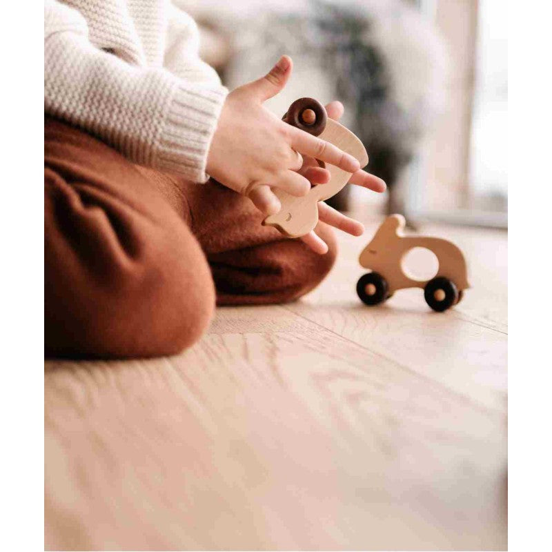 Wooden Toy on Wheels - Duck